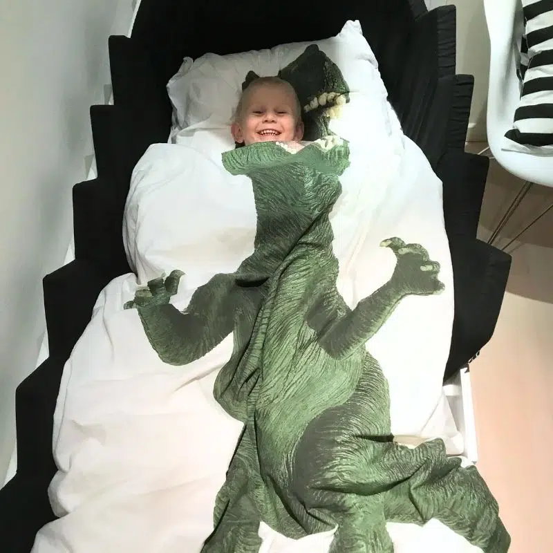 dinosaur sengetøj