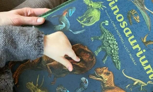 DET BEDSTE DINOSAUR LEGETØJ