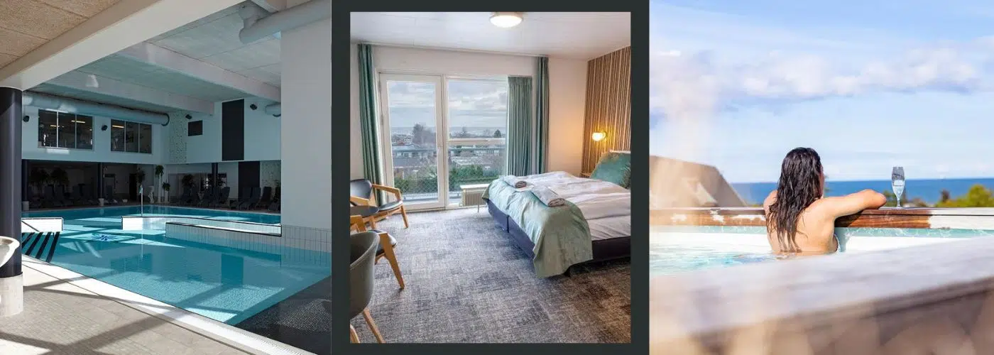 hotel viking