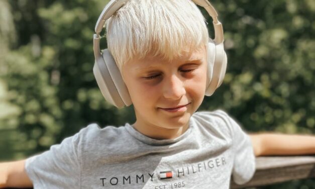 SOUNDLIVING WAVE ANMELDELSE