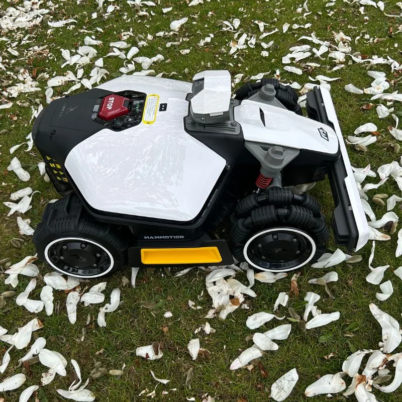 robotplæneklipper test