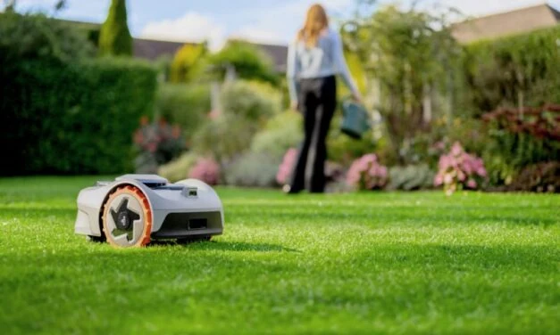 Den ultimative robotplæneklippe test: Find den bedste til din have