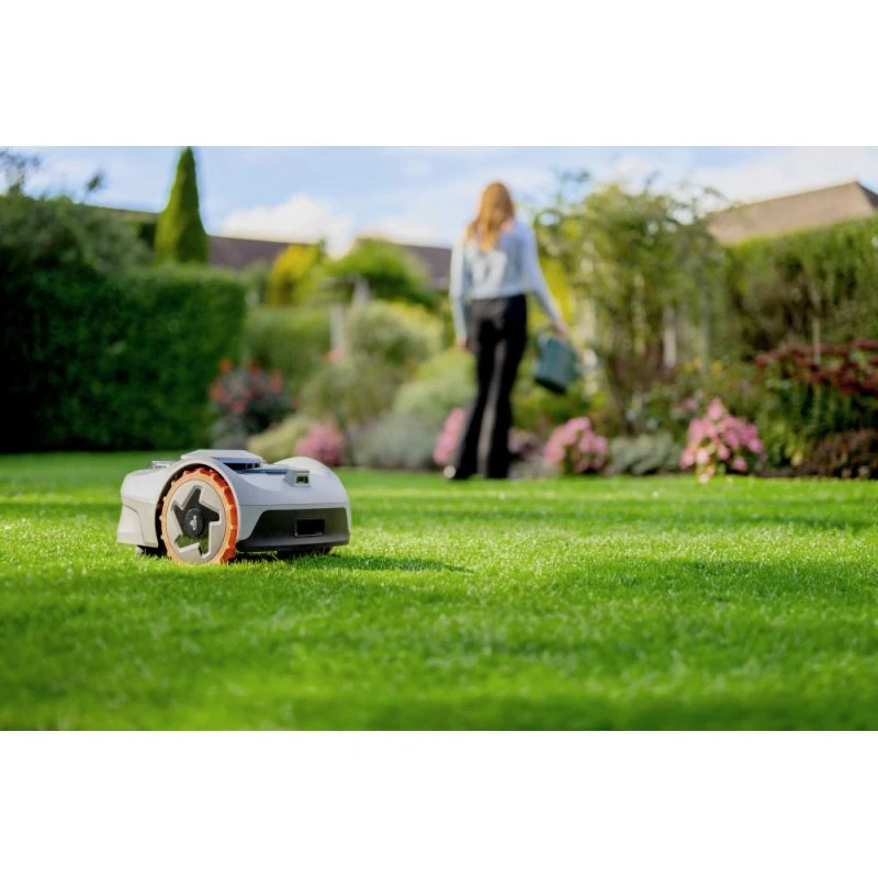 robotplæneklipper test